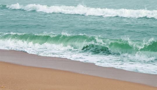 Nuanai Nature Camp (Puri)